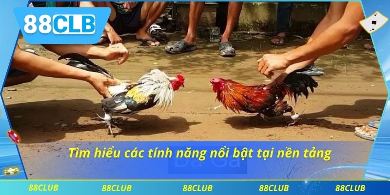 Tìm hiểu các tính năng nổi bật tại nền tảng